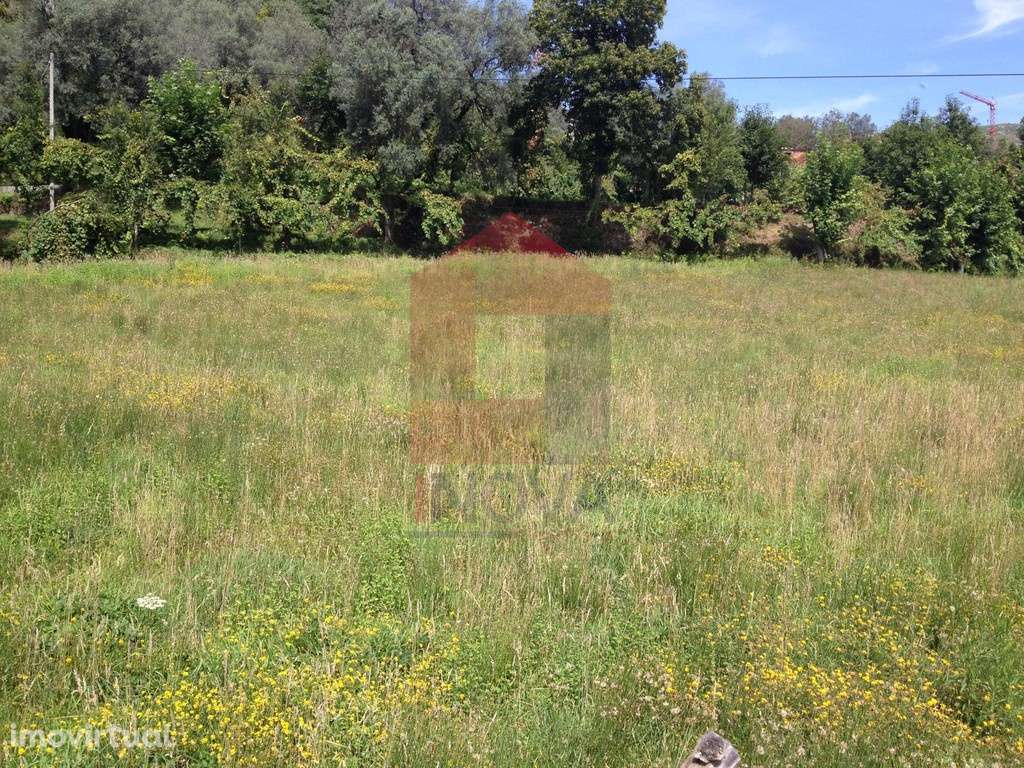 Terreno agrícola, Barros - Grande imagem: 3/12