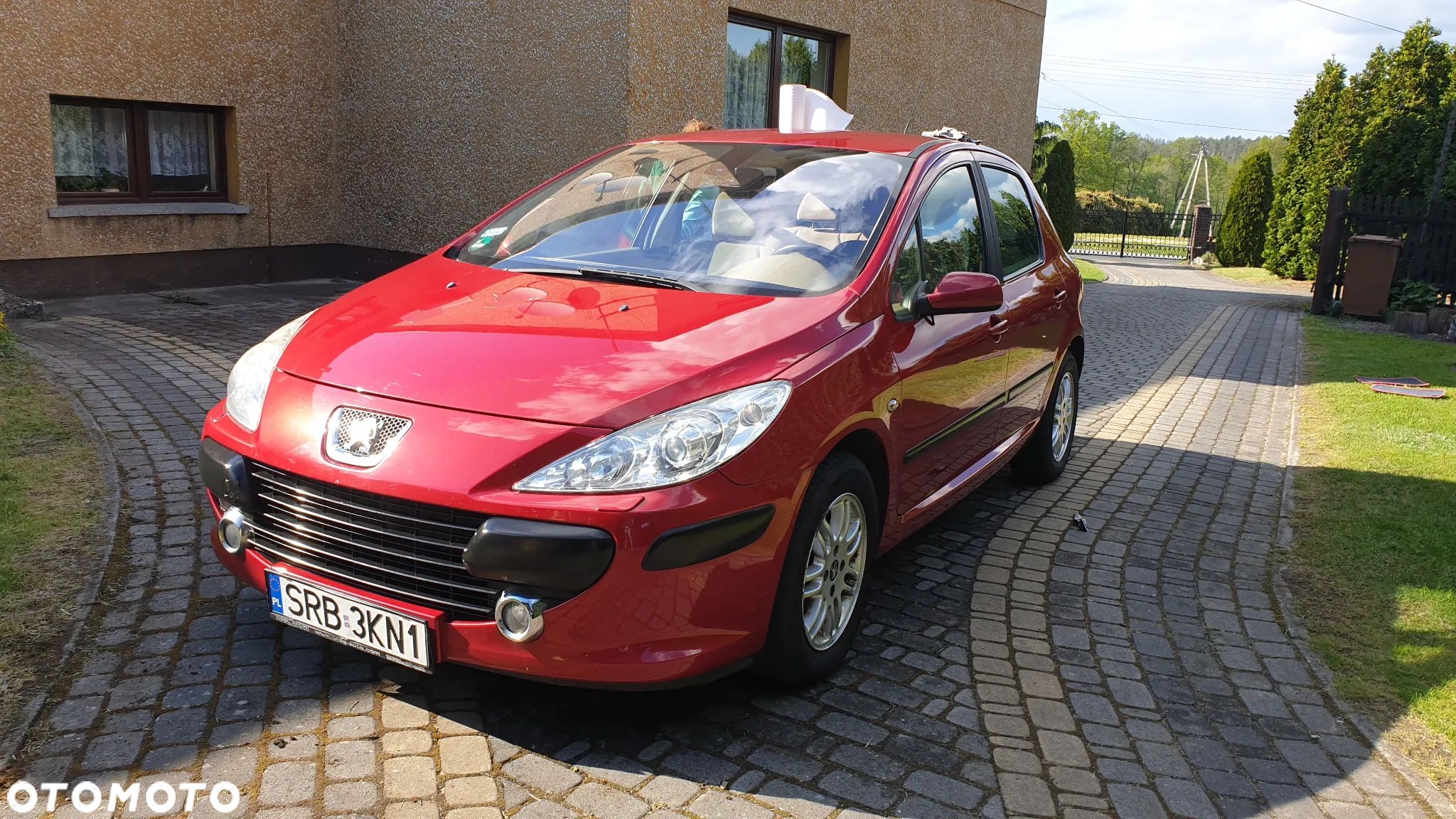Peugeot 307 110 Premium - 1