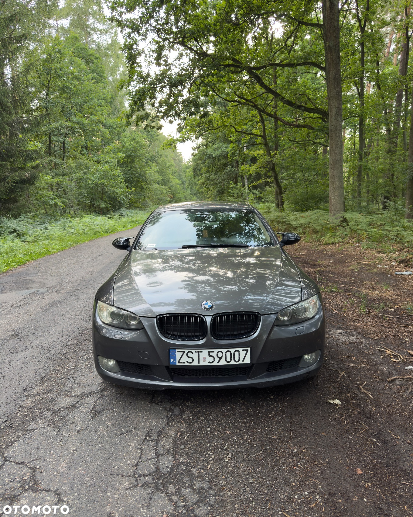 BMW Seria 3 - 2
