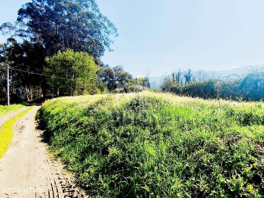 Terreno rústico para venda em Tregosa - Barcelos - Grande imagem: 4/10