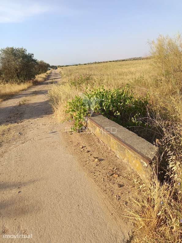 Terrenos Rústicos com Rega | Godinha, Campo Maior - Grande imagem: 5/37