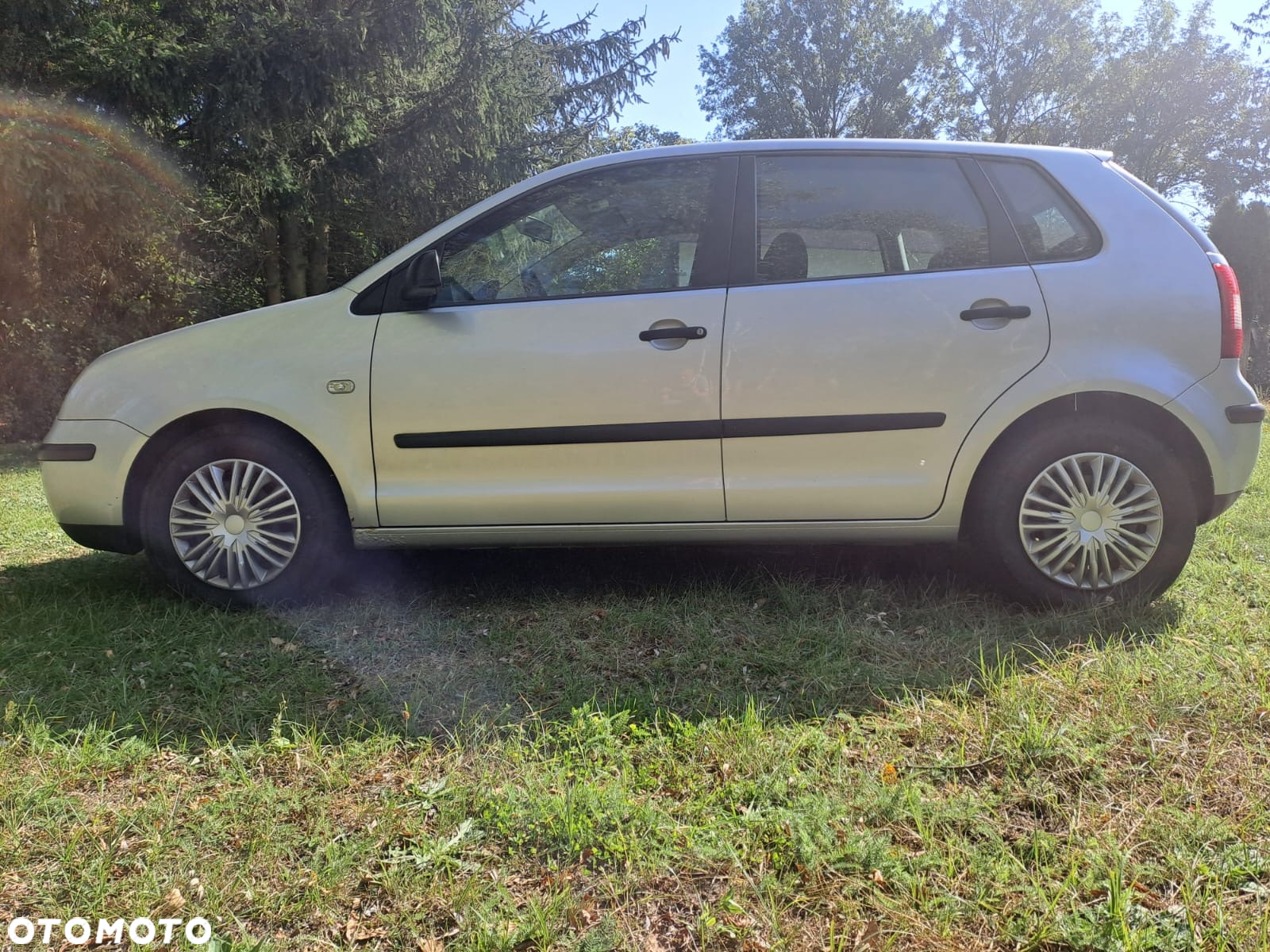 Volkswagen Polo - 7