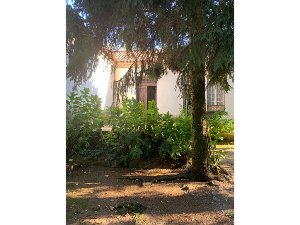 Quinta Senhorial Minhota no Centro de Ponte da Barca - Grande imagem: 5/35