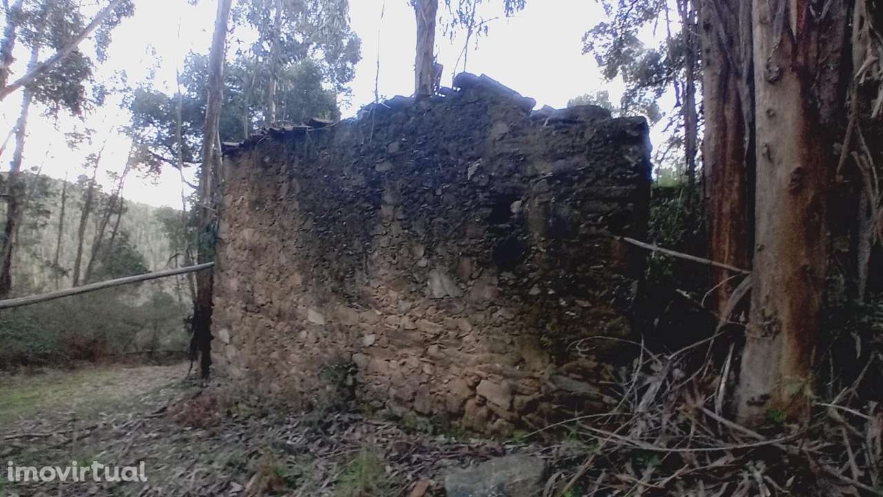 Ruína para Recuperar com Terrenos – Casal Agostinho Alves, Alvaiázere - Grande imagem: 5/6