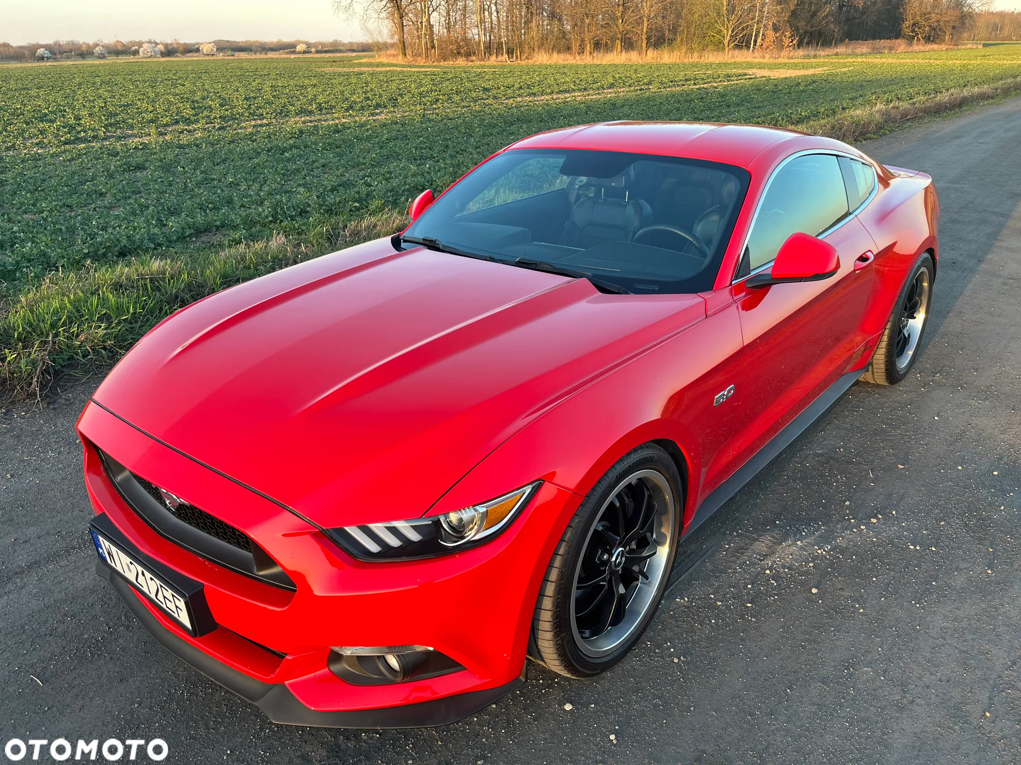 Ford Mustang 5.0 V8 GT - 3