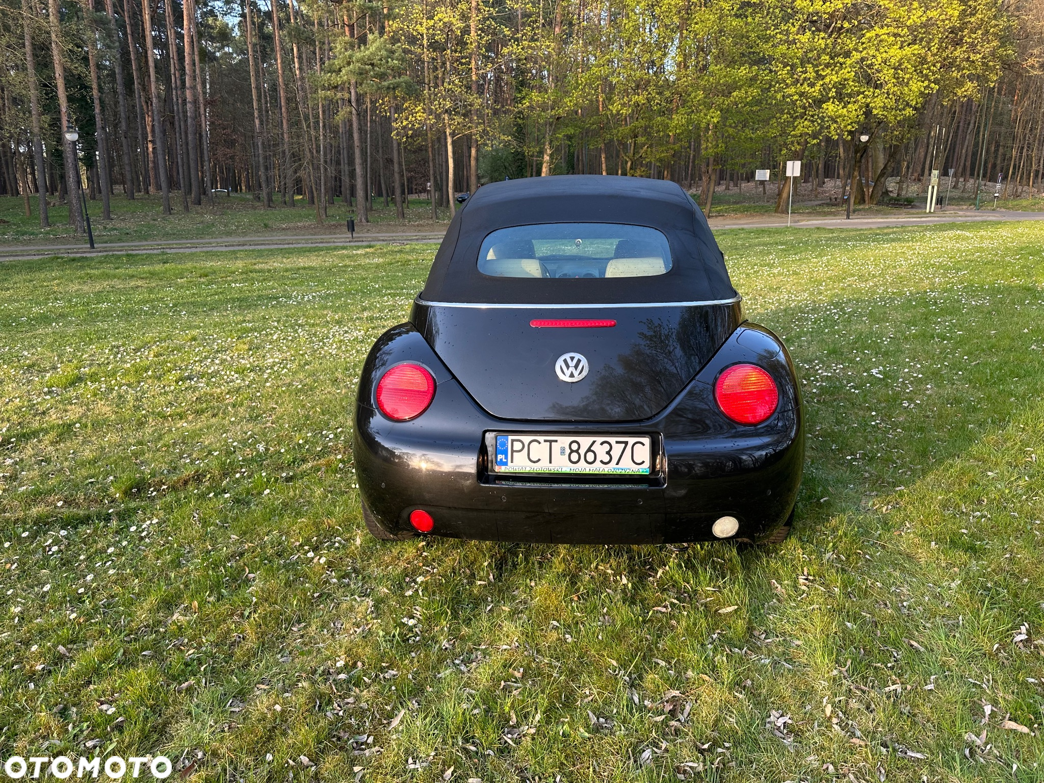 Volkswagen New Beetle 2.0 - 7