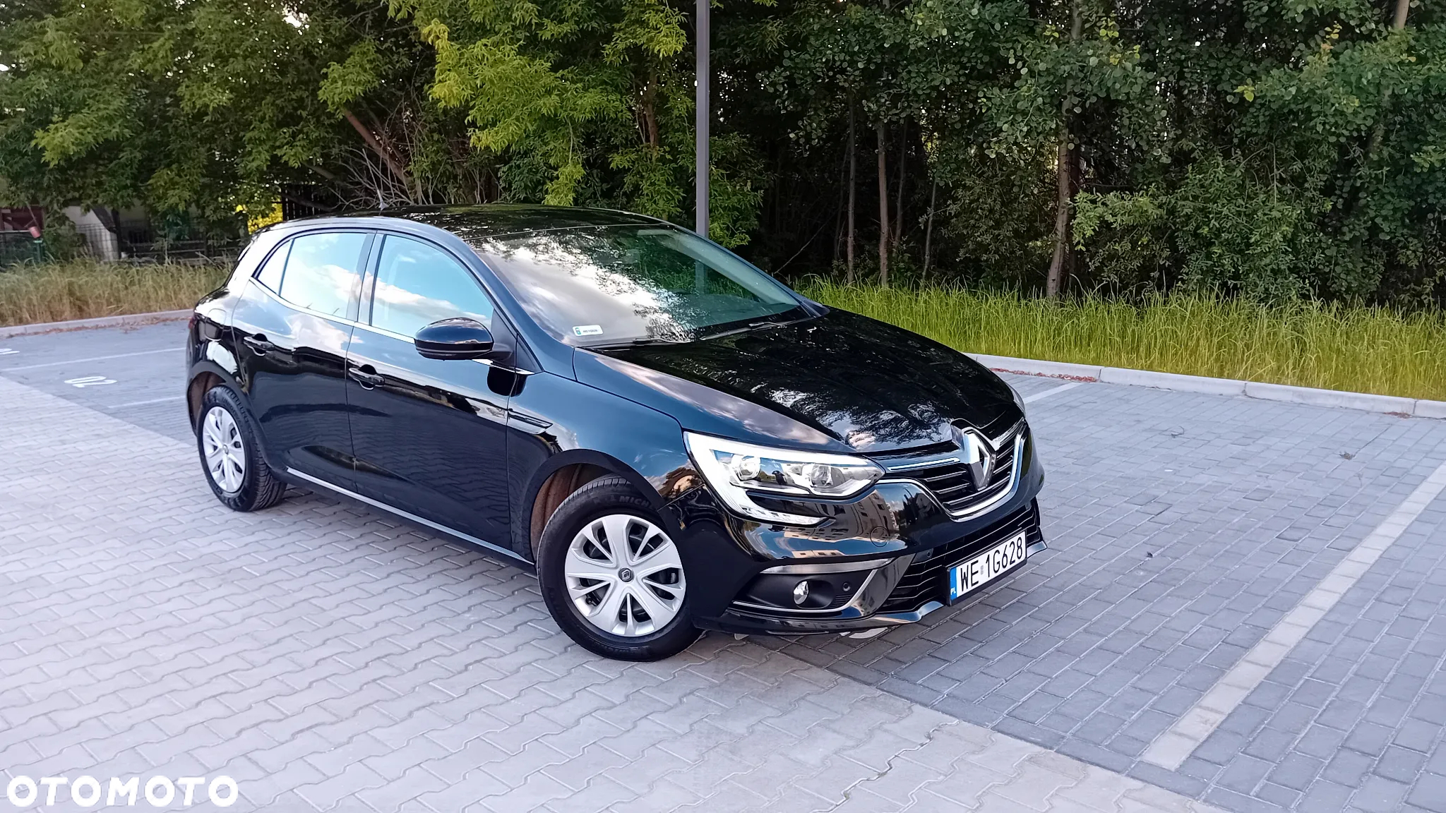 Renault Megane - 19