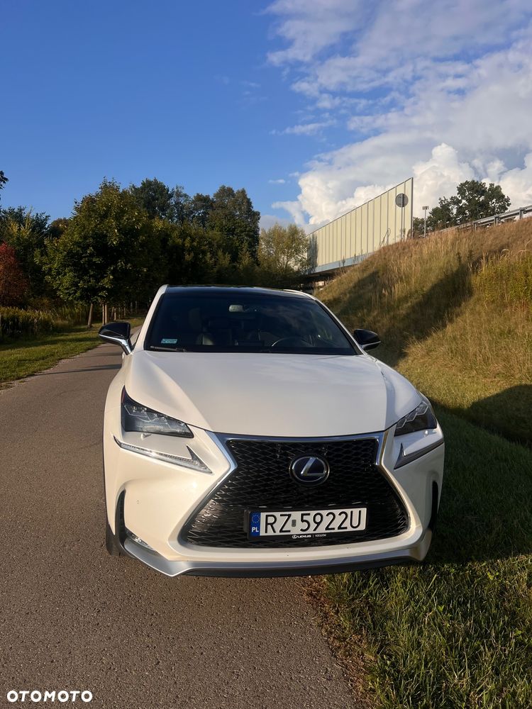 Lexus NX 300h F Sport Edition AWD - 2