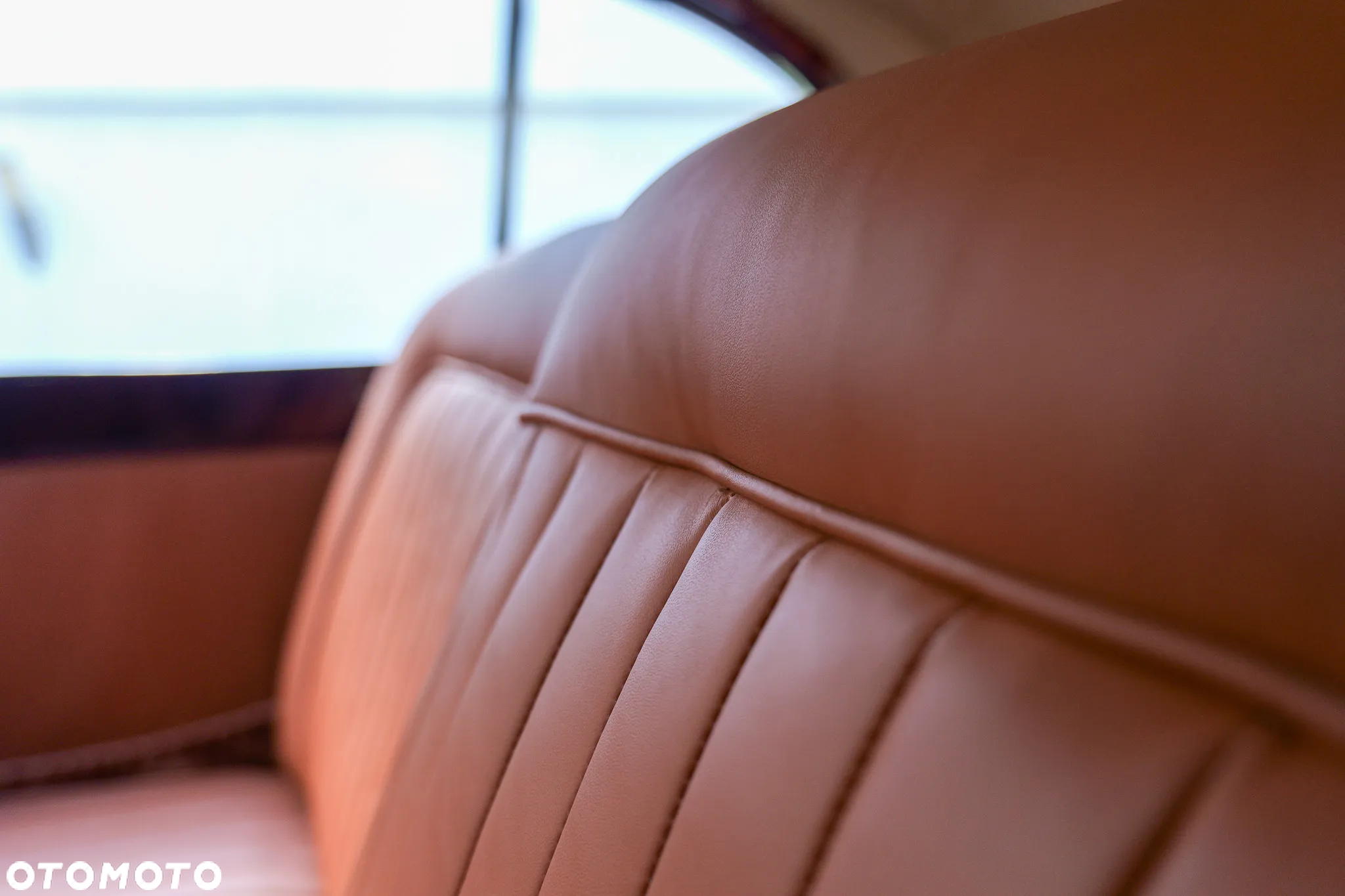 Jaguar XK - 23