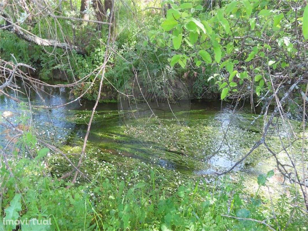 Quinta  para venda - Grande imagem: 2/30