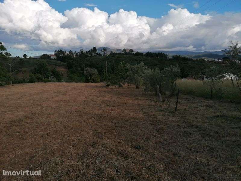 Quinta em Galizes - Grande imagem: 5/8