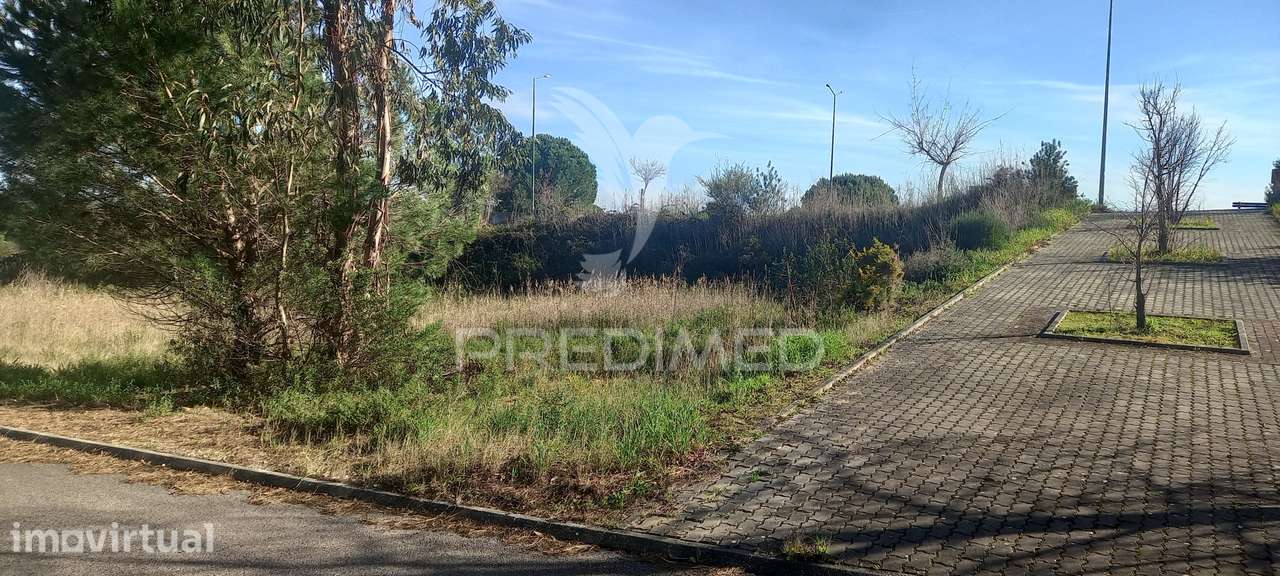 Lote de Moradia - Grande imagem: 5/7