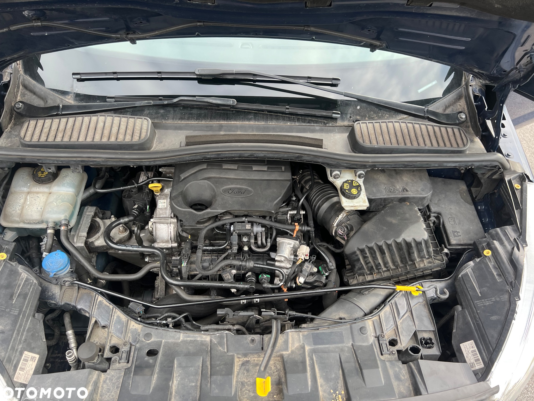 Ford C-MAX 1.0 EcoBoost Trend ASS - 19