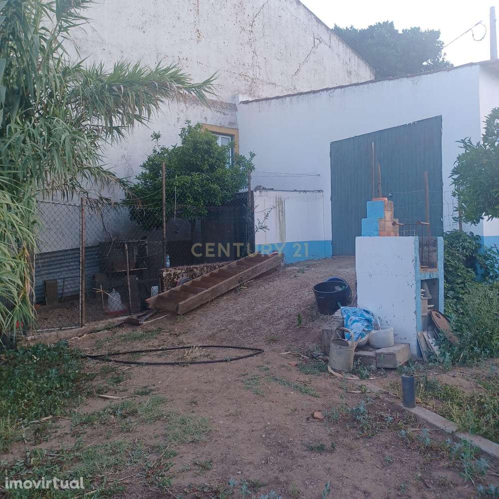 Terreno em Seda - Alter do Chão - Grande imagem: 3/12