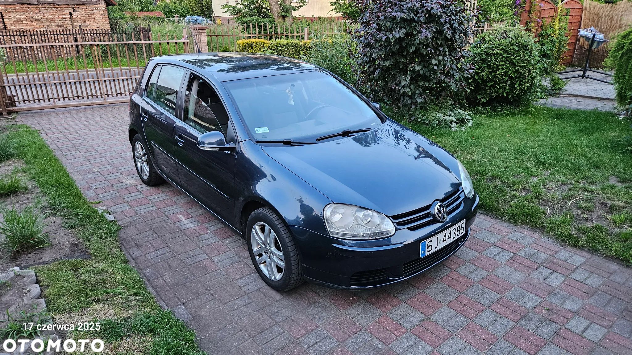 Volkswagen Golf - 1