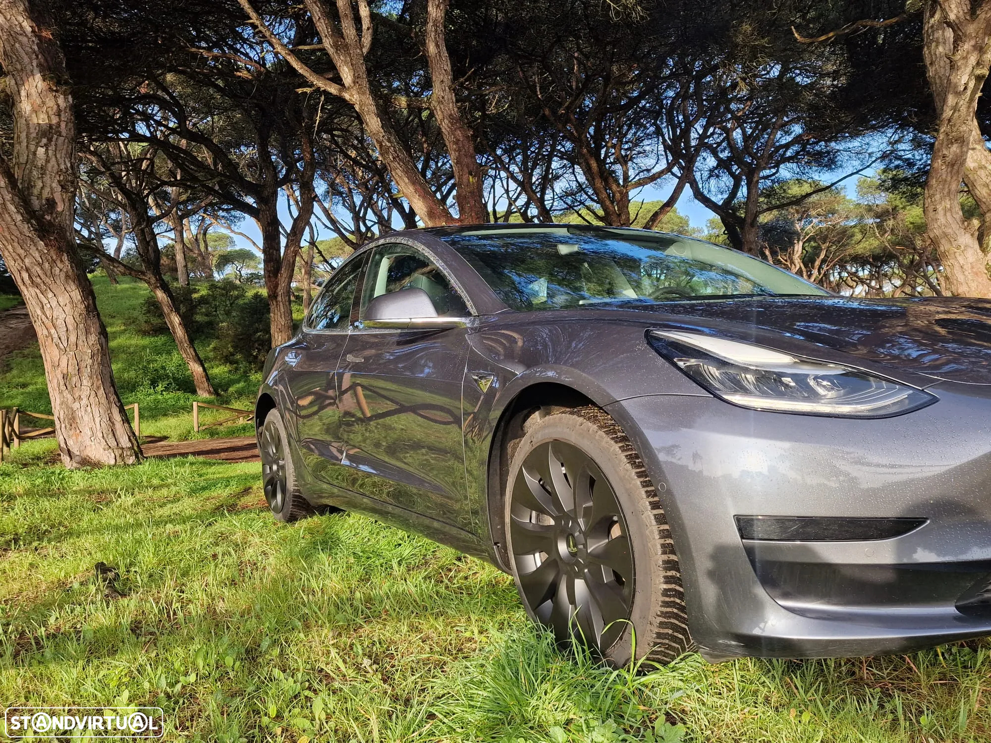 Tesla Model 3 Standard Range Plus RWD - 32
