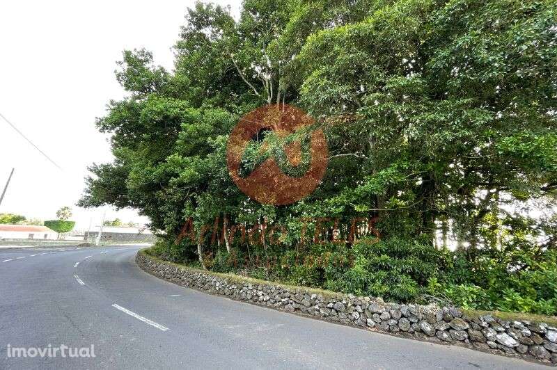 Venda Terreno - Grande imagem: 3/13