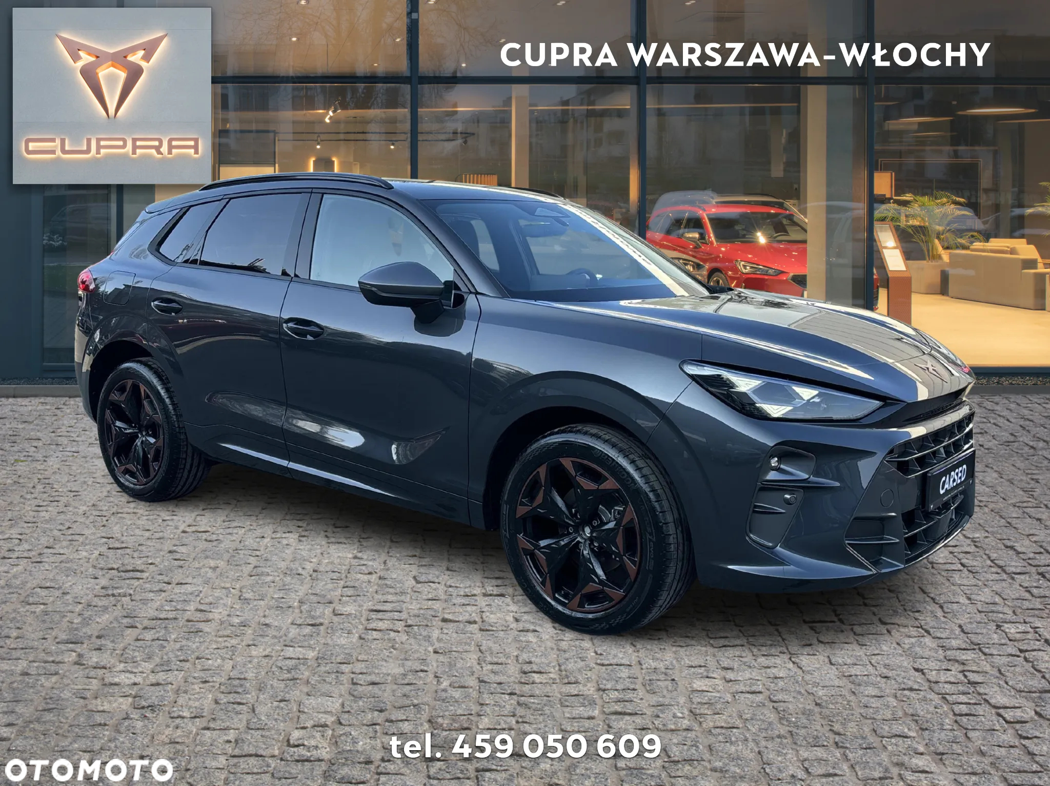 Cupra Terramar - 7