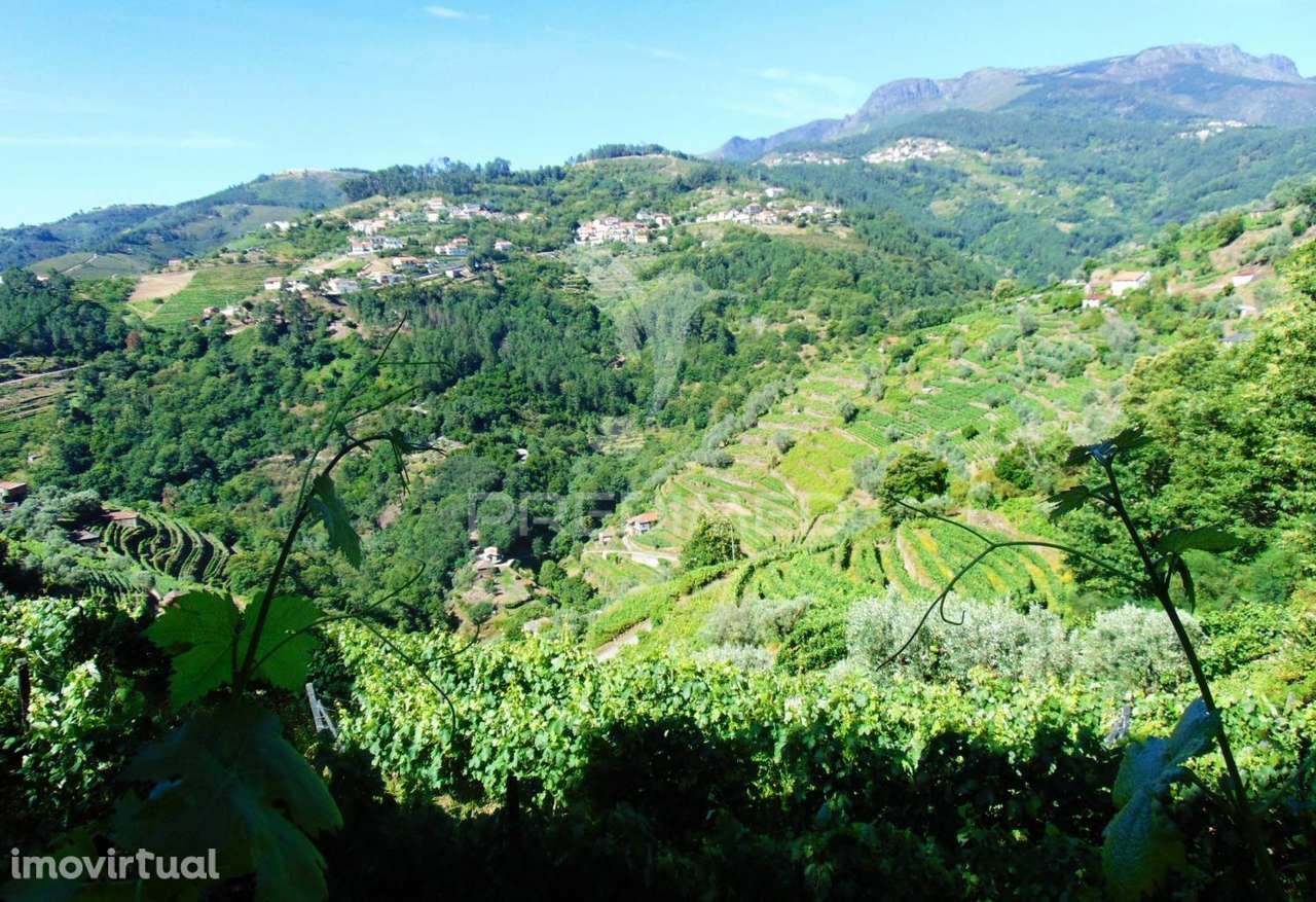 Terreno em Louredo / Santa Marta Penaguião - Grande imagem: 4/25