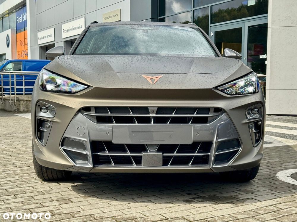 Cupra Terramar - 11