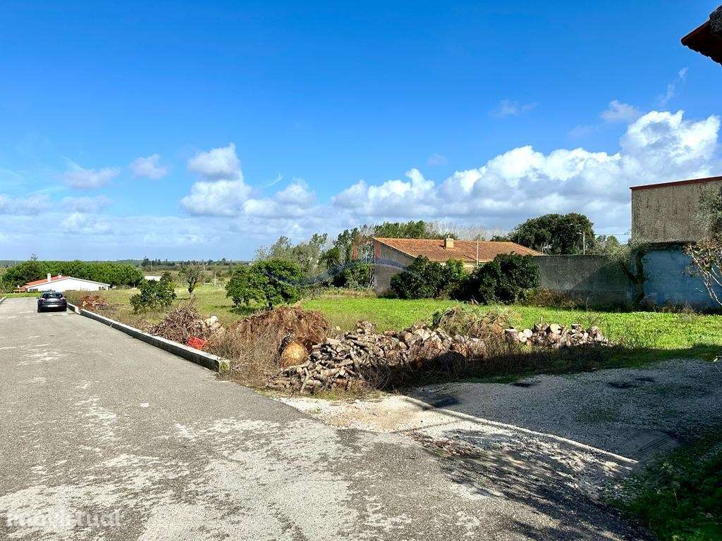 Terreno - Monte Real - Grande imagem: 4/12