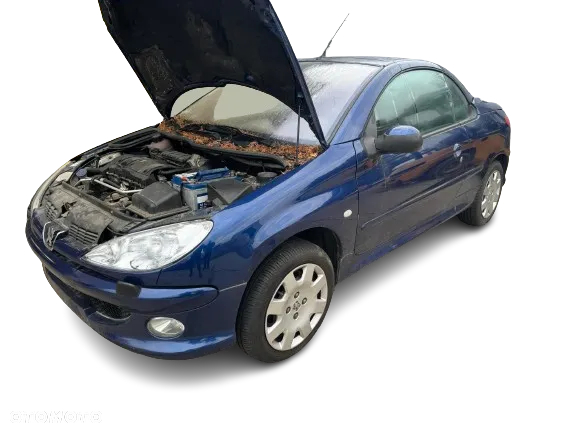 Wszystkie Części do Peugeot 206 CC 1.6 Benzyna | Kolor EGED | Stacja Demontażu Pojazdów - 2