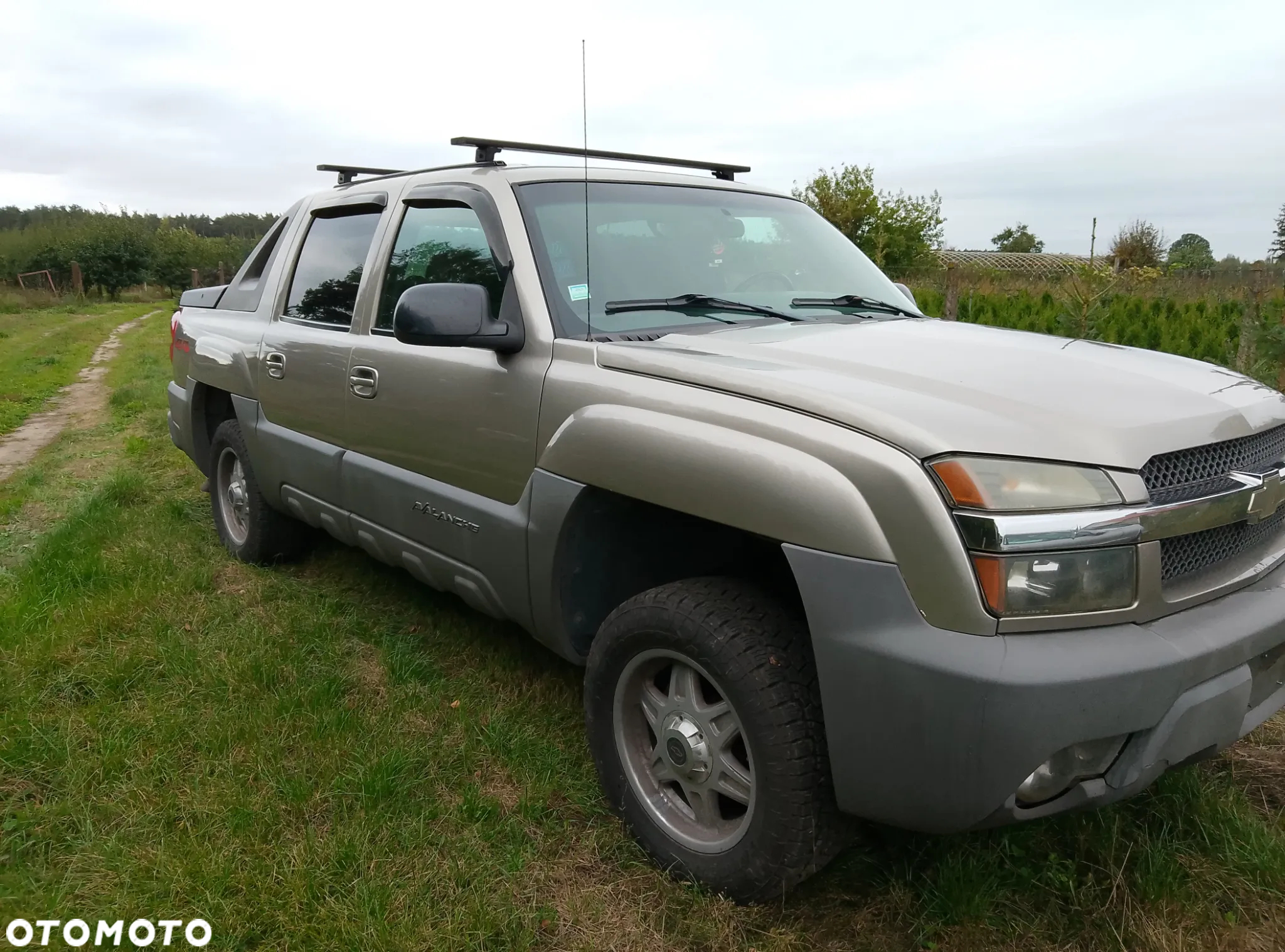 Chevrolet Avalanche 5.3 1500 4WD - 11