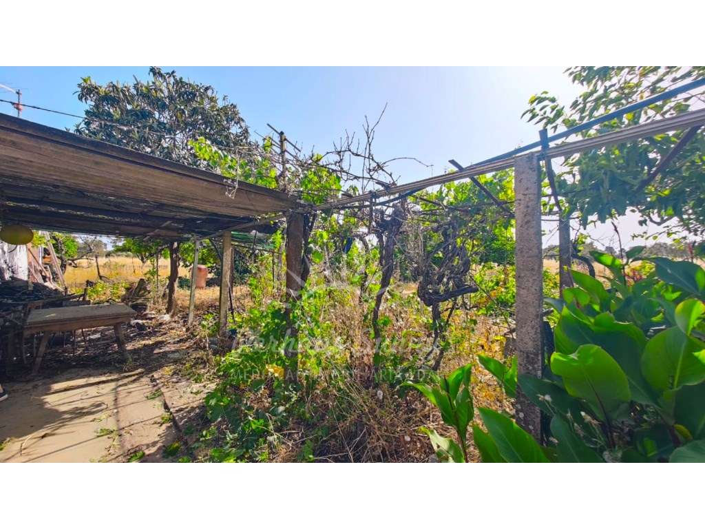 Quintinha - Grande imagem: 5/16