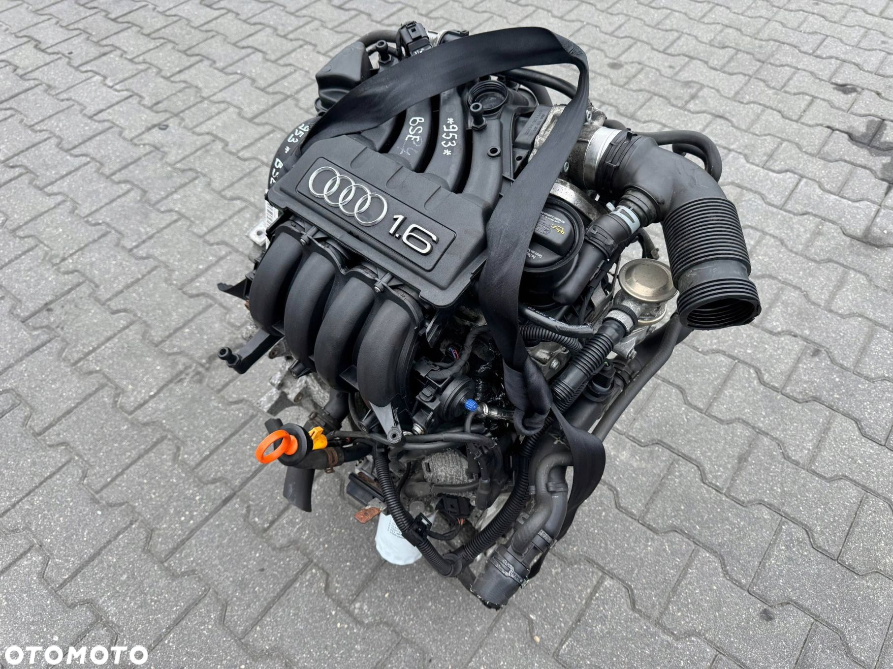 SILNIK 1.6 8V BSE AUDI A3 2008 - 5
