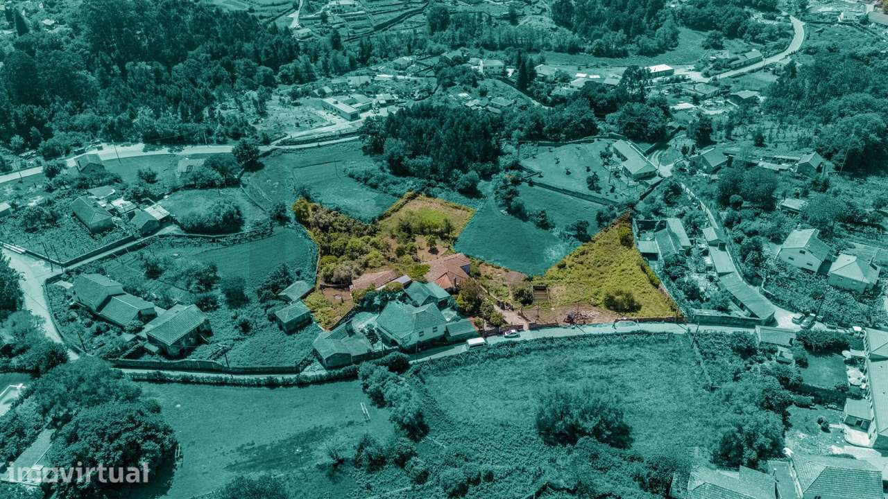 Quinta em Pedra com 5.200 m2 + Terreno para Construção | Riba de Âncor - Grande imagem: 3/60