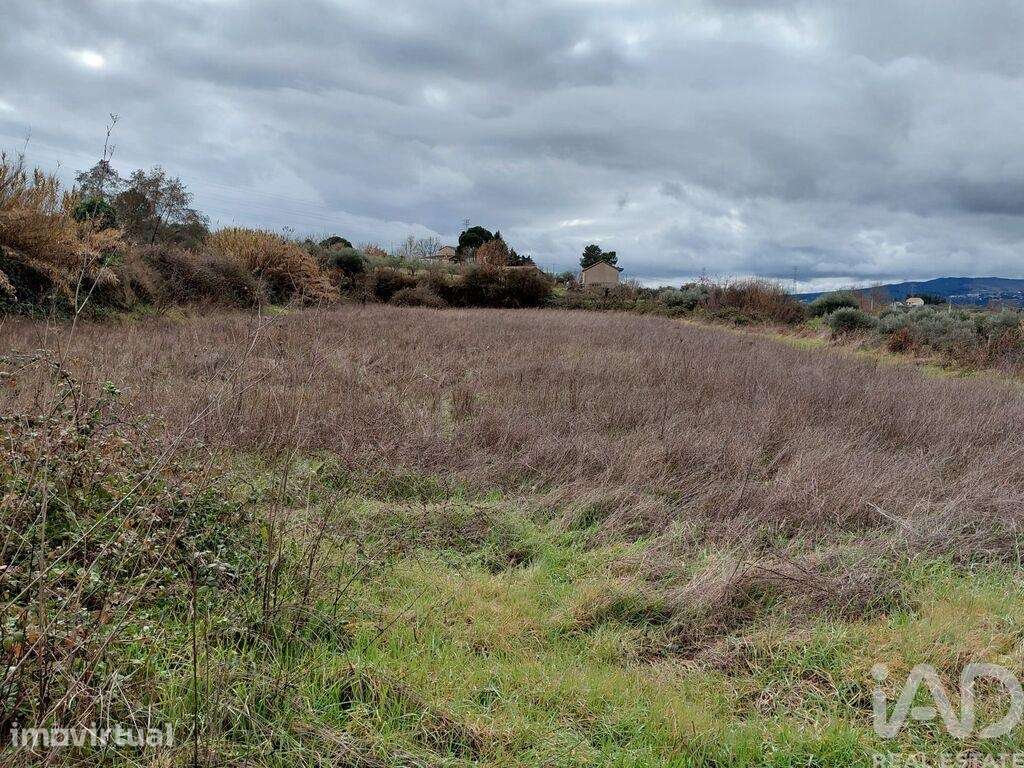 Quinta em Ferro de 226 m2 - Grande imagem: 5/14