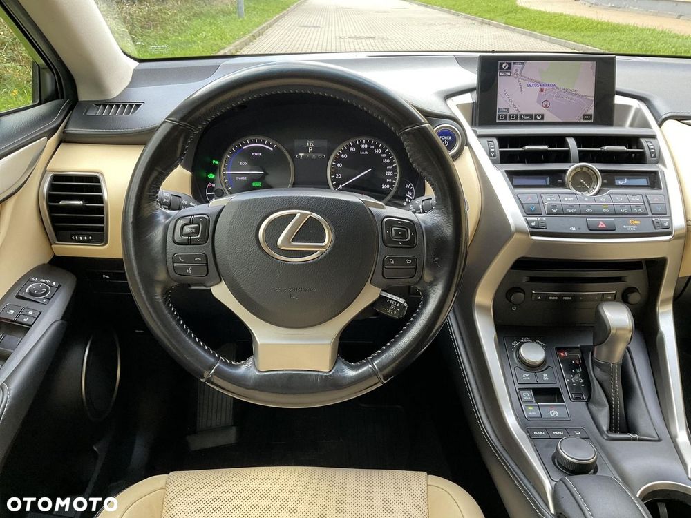 Lexus NX 300h Comfort AWD - 19