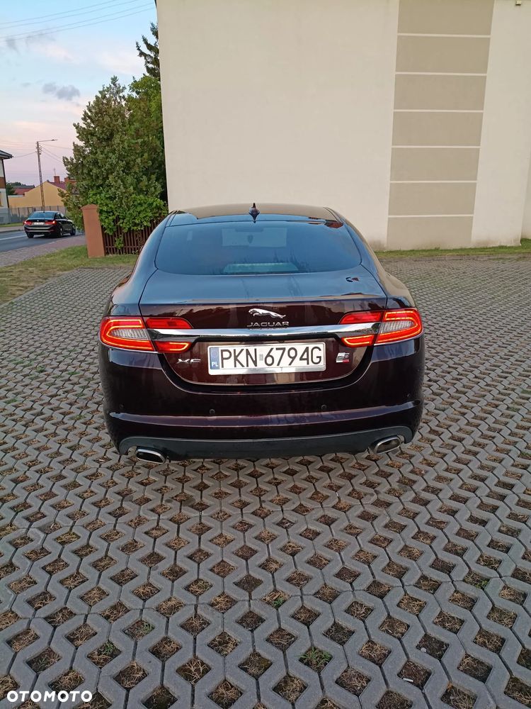 Jaguar XF 2.2 D Premium Luxury - 5