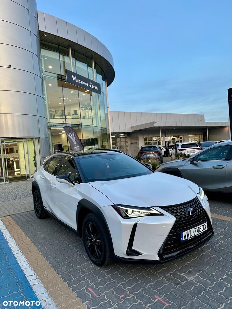 Lexus UX 250h - 13