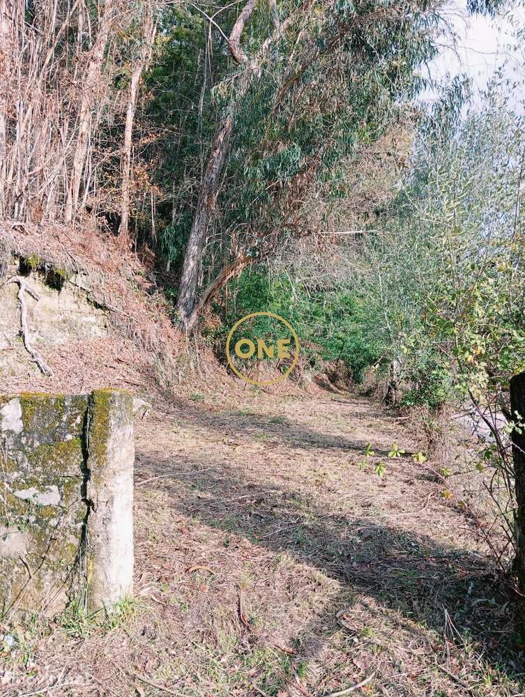 Moradia para Reconstrução - Grande imagem: 4/14