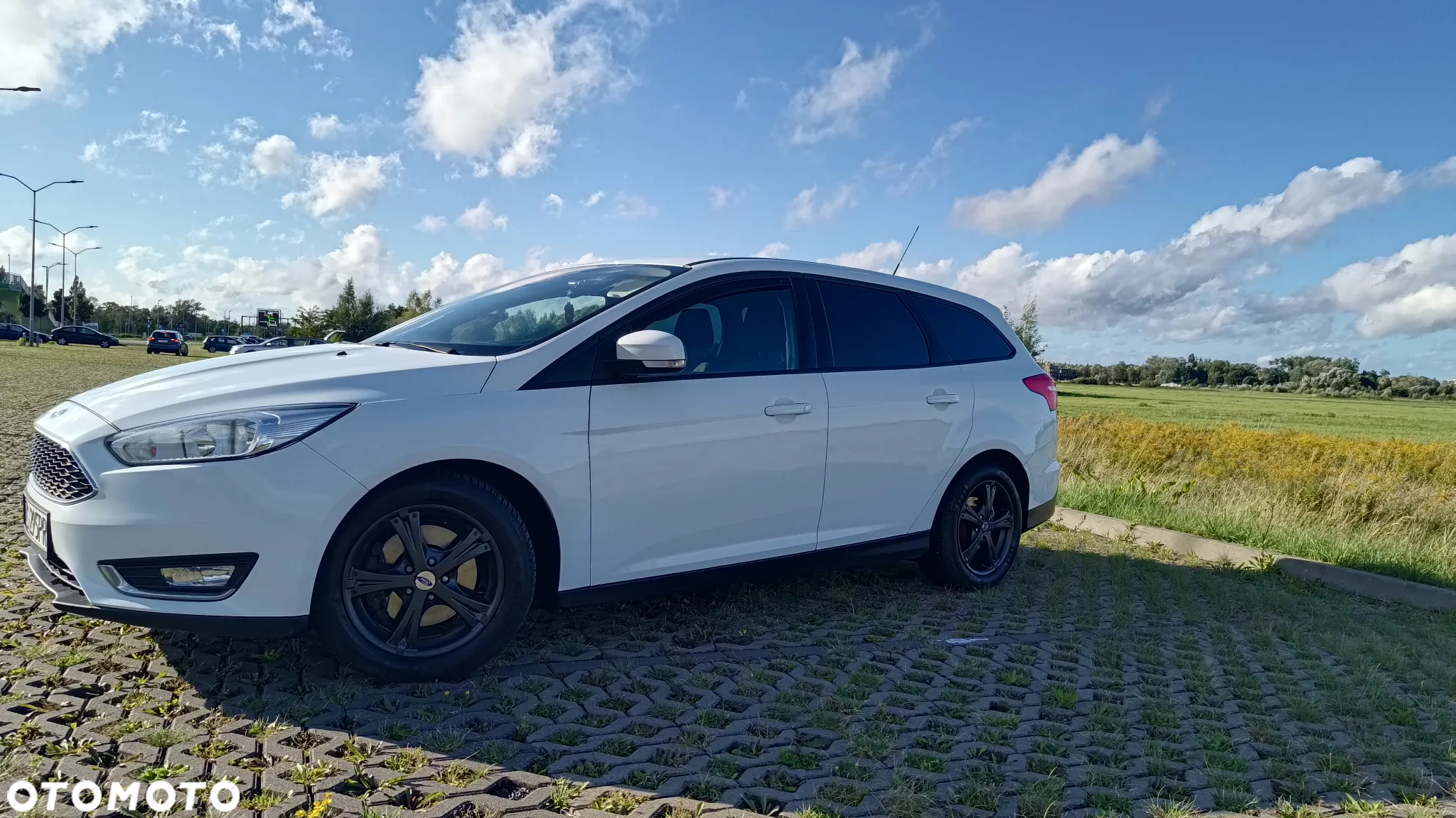 Ford Focus - 2