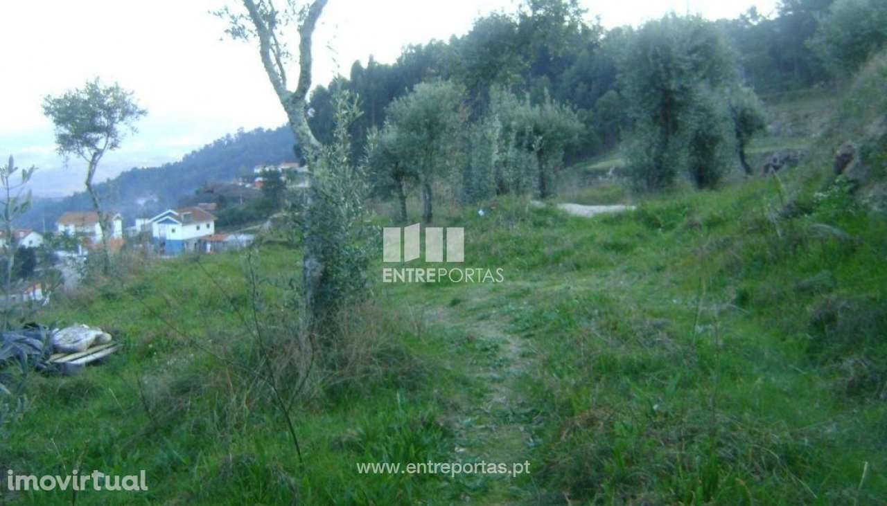 Venda Terreno, Paredes de Viadores, Marco de Canaveses - Grande imagem: 4/9