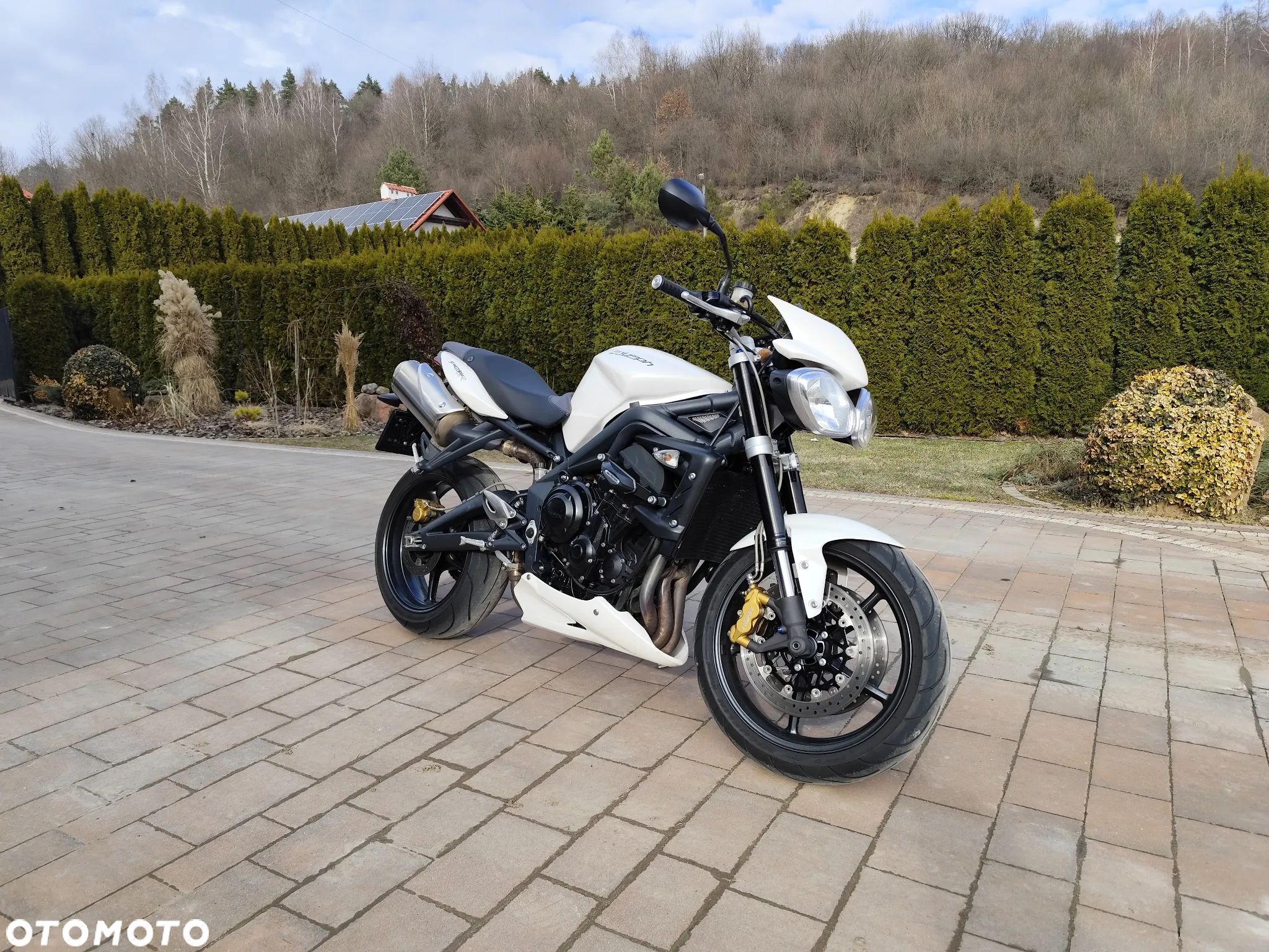 Triumph Street Triple - 1