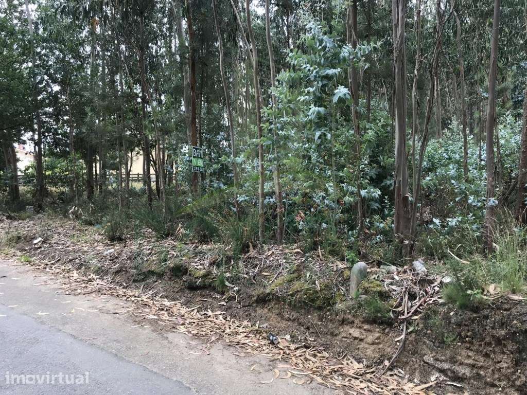 Terreno para Venda em São Pedro da Torre - Grande imagem: 2/7