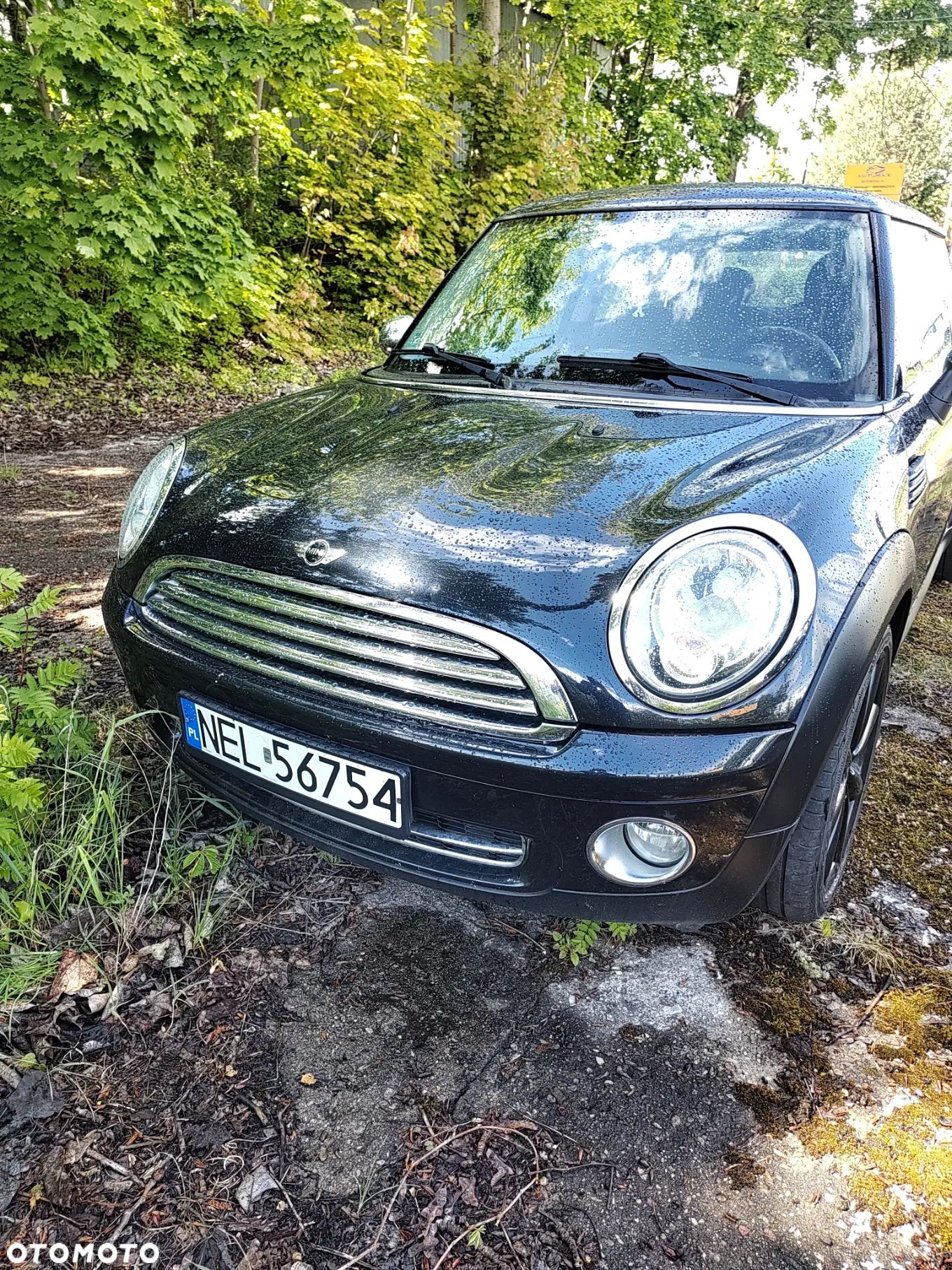 MINI Cooper Standard - 1