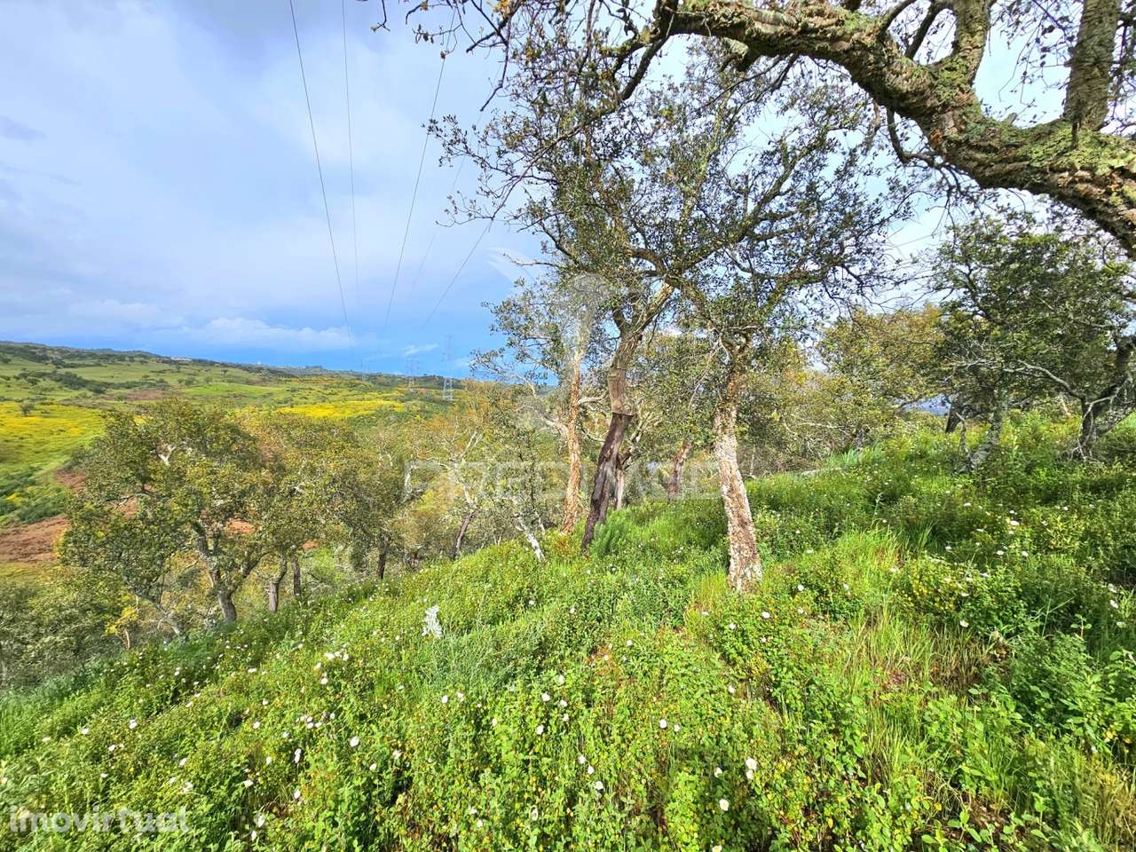 Terreno rústico com 28 hectares - Grande imagem: 4/14