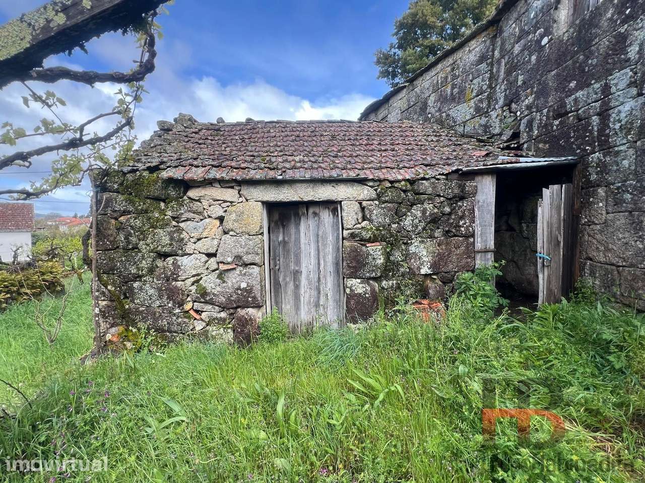 Moradia Rústica T3 Venda em Cambra e Carvalhal de Vermilhas,Vouzela - Grande imagem: 5/26
