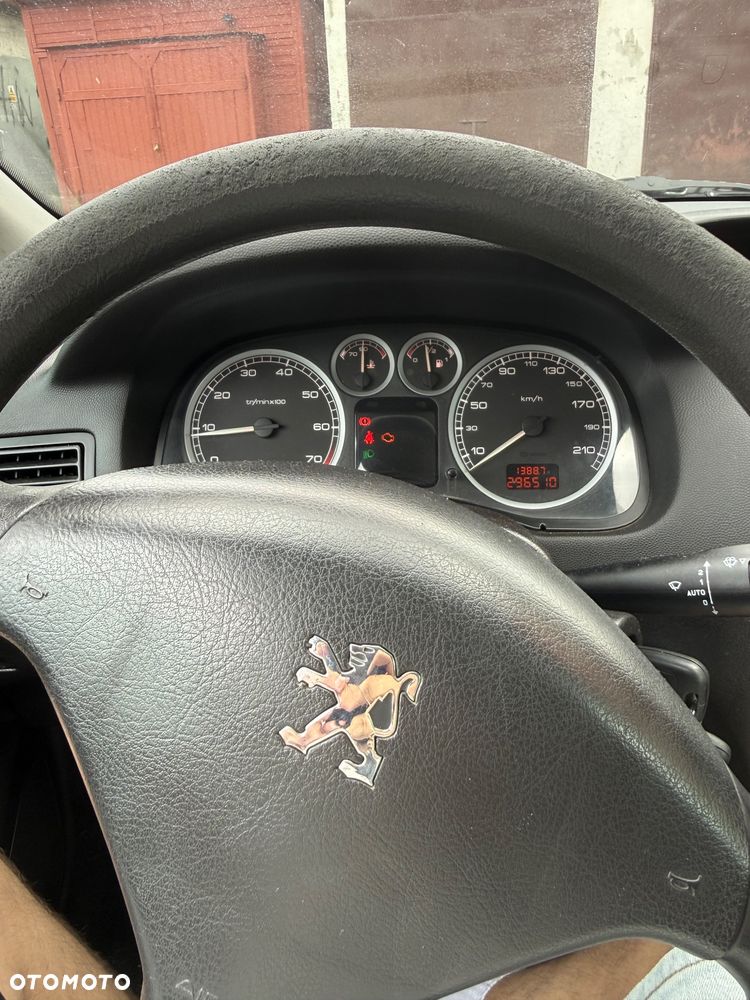 Peugeot 307 1.4 Mistral - 8