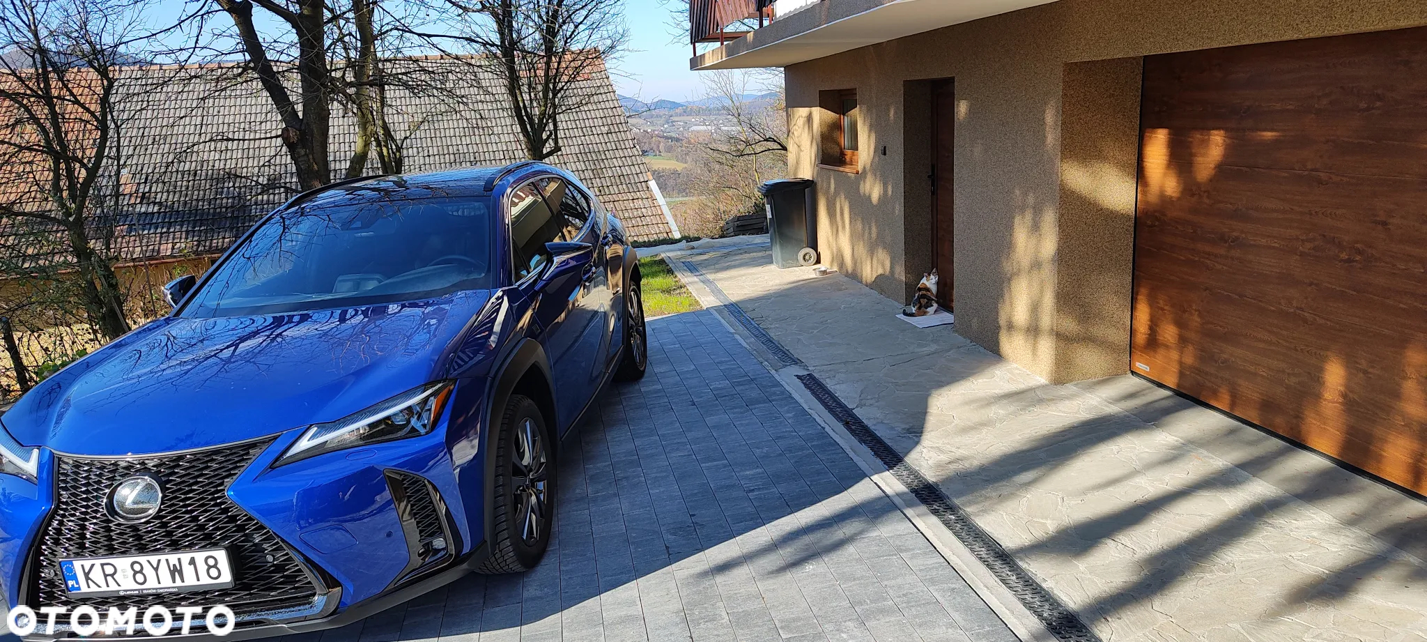 Lexus UX - 14