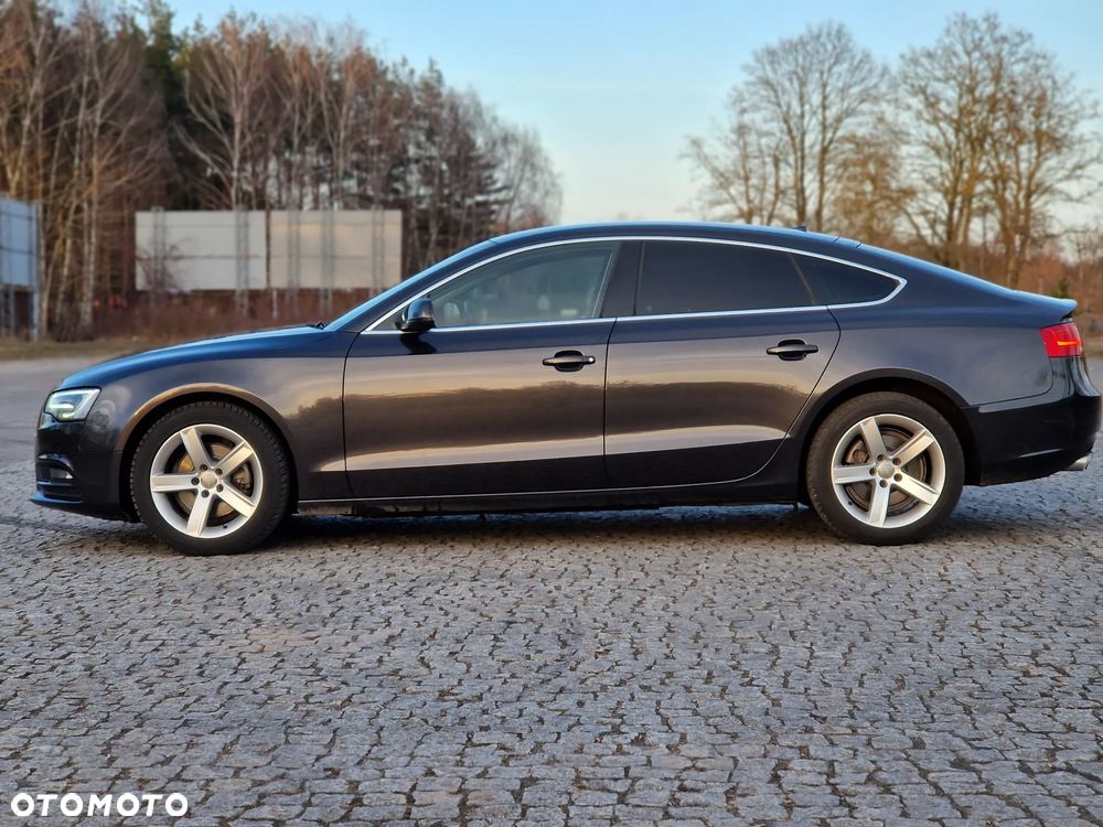 Audi A5 Sportback 2.0 TDI (clean diesel) DPF multitronic - 18