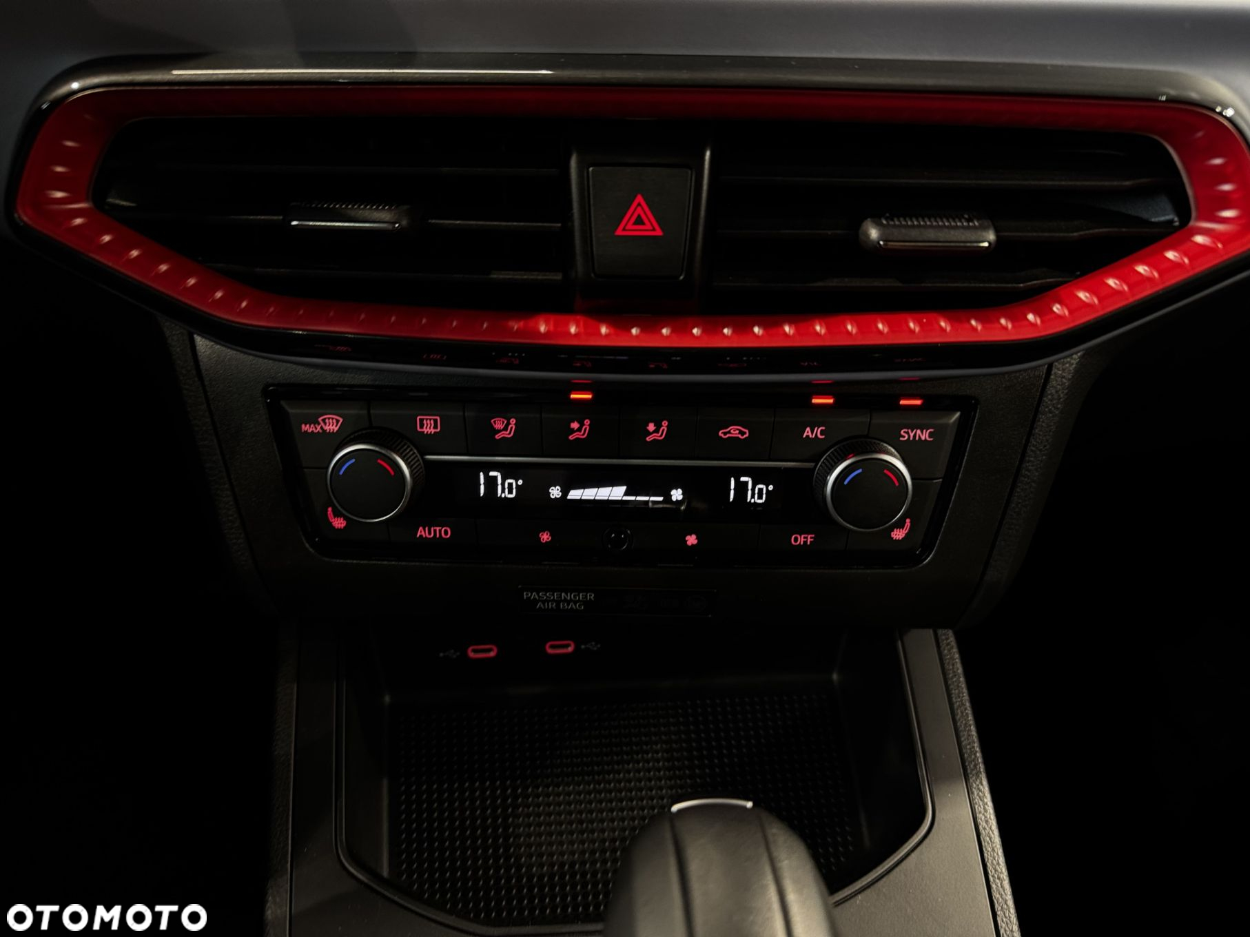 Seat Ibiza - 21