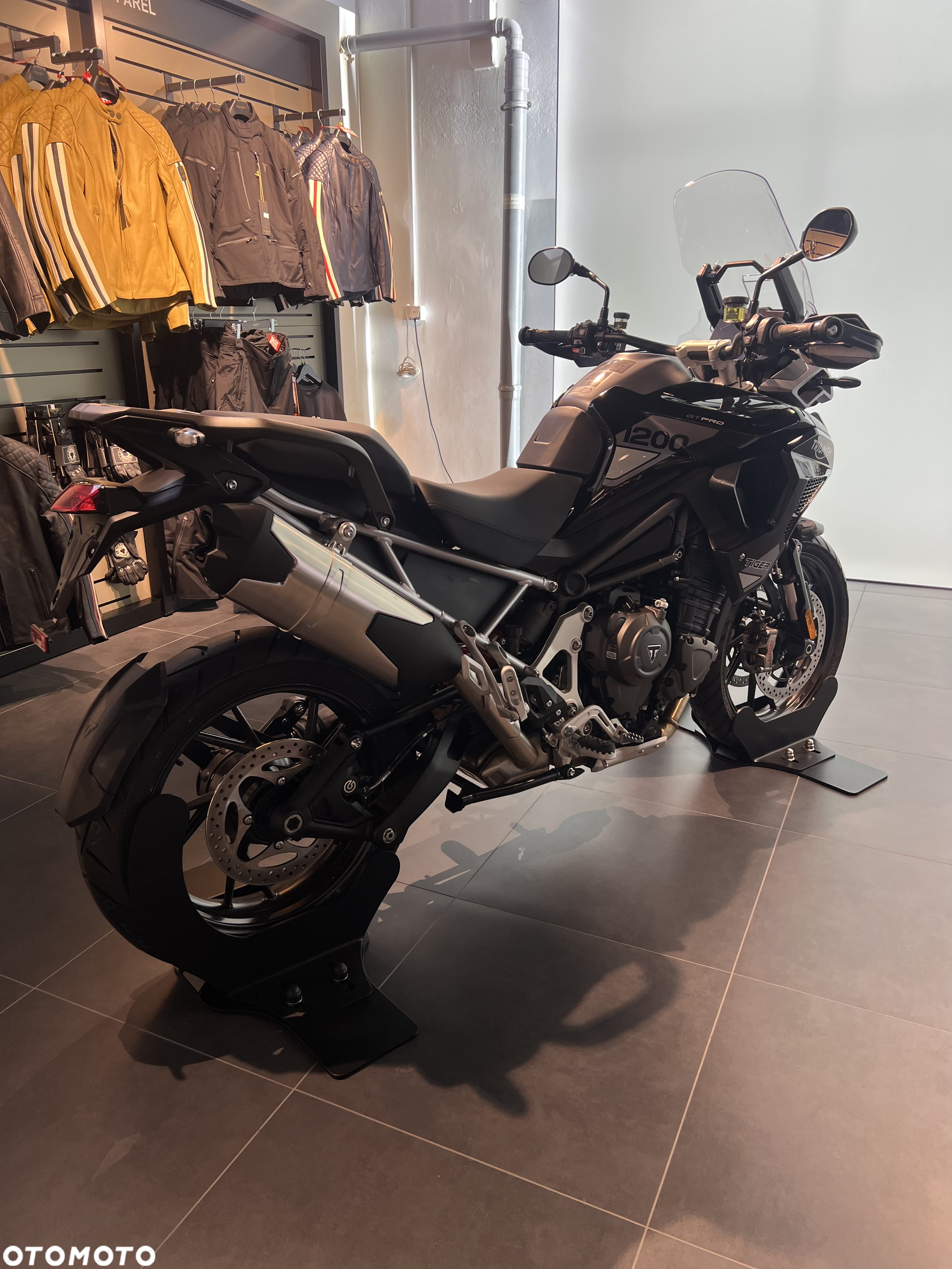 Triumph Tiger - 4