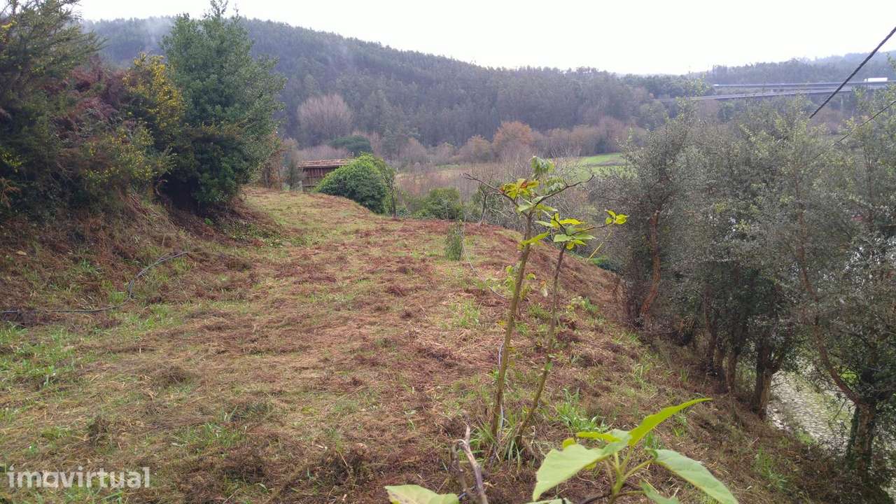 Soberbo, Terreno Urbano de 1850m² em Macinhata do Vouga - Grande imagem: 4/34