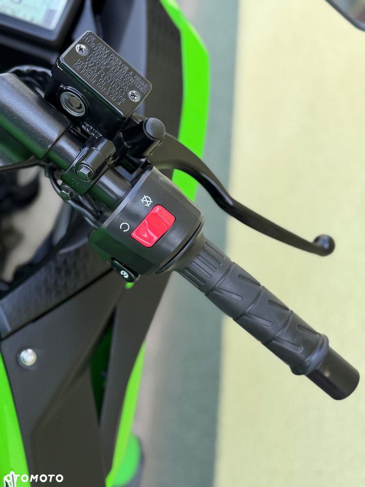Kawasaki Ninja 300 ABS - 38