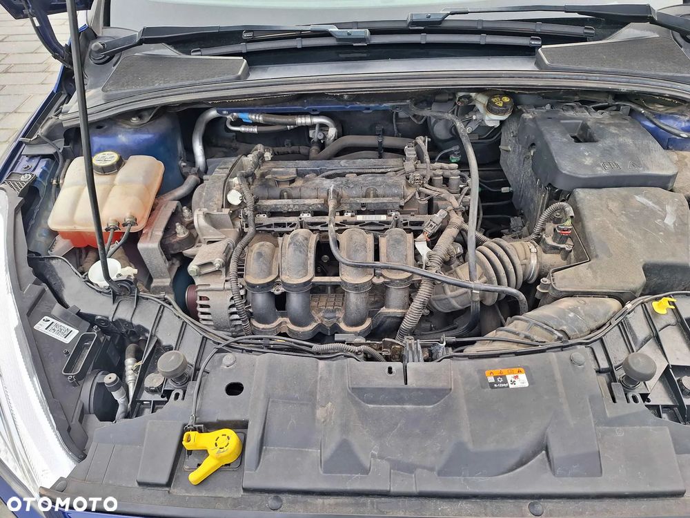 Ford Focus 1.6 TI-VCT Trend - 24